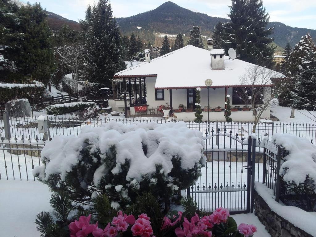 Villa Chanel Μπόρνο Εξωτερικό φωτογραφία